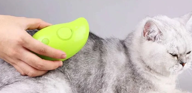 Pet Grooming Brush